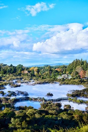 Whenua Wera Trails